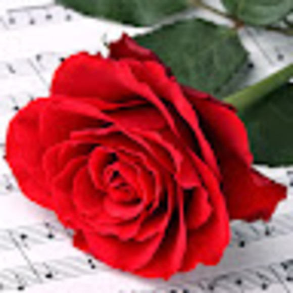 Meet your Posher, Zoe - Picture 1 of 1